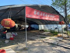-喜杨洋草莓采摘园