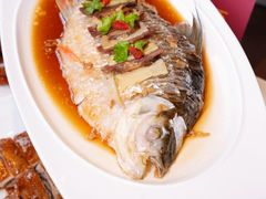 -香港狮子山下·明星粤菜餐厅(北苑店)