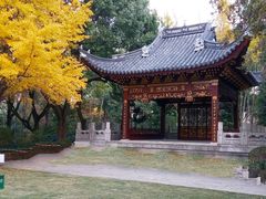 -汇龙潭
