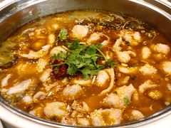 有机黑鱼-龙梅肥肠鱼(明瓦廊店)