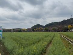 -红山村