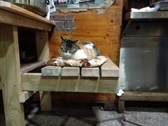 -老宅原住民沙茶面精品小吃(龙头路店)