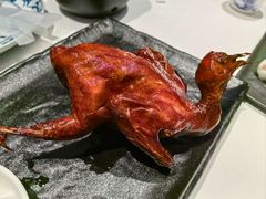-侨美食家·40年地道粤菜(珠江新城店)