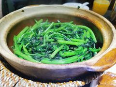 啫啫虾酱空心菜-熠盛粤味·顺德桑拿鸡(永康路店)