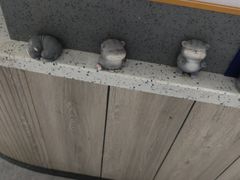 -半岛宠物医院24小时(白果林店)
