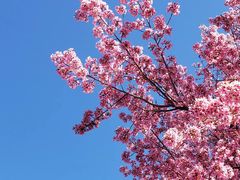 -再回首鸡肉米线(人民路一店)