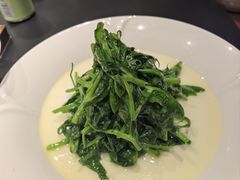 清炒豌豆尖-羊门客在·烤盐池滩羊·川菜