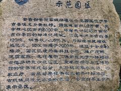 -帐篷客·溪龙茶谷度假酒店