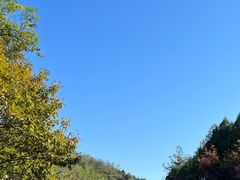 -北京西山国家森林公园