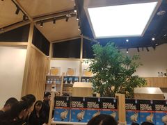 -屋虎猫馆(宝安大仟里店)