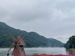 -广州市石门国家森林公园