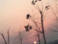 -田记餐馆(富国街店)