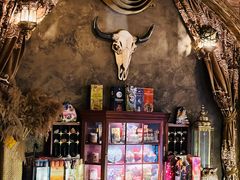 -雪灵魔法世界SHELLY’S TAROT(大良桂畔里店)