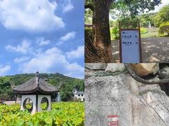 -宜兴张公洞