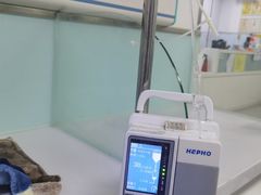 -达爱动物医院·犬猫分区·CT·复杂眼科(远洋山水分院)