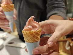 冰淇淋-素虎料理(前门店)