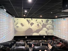 -大地院线珠江摩尔店(CL全景超级影院)