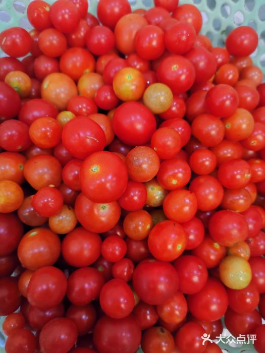 贺阿又布依酸笋鱼图片