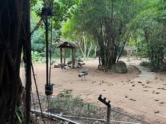 -深圳野生动物园