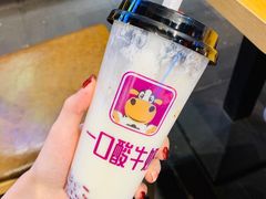 -一只酸奶牛(八一路店)