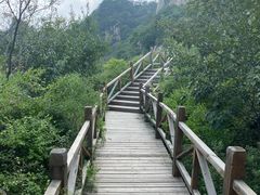 -大岭沟猕猴桃谷风景区