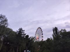 -青城公园