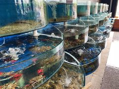 -蓝珊甄选海鲜自助·火锅大排档(近阿那亚店)