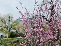 -西贝莜面村(上海百联西郊店)