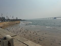 -星海广场