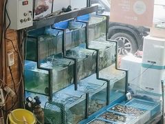 -老东镇啤酒屋海鲜加工·蒸汽海鲜·海鲜烧烤(台东店)