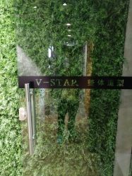 -V-STAR威斯达•高级私人定制