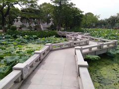 -惠州西湖丰渚园