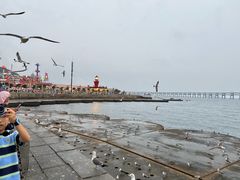 -星海广场