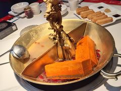 -小龙翻大江文化火锅(宽窄店)