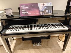 -雅歌音乐培训中心·钢琴培训·乐器培训(交道口店)