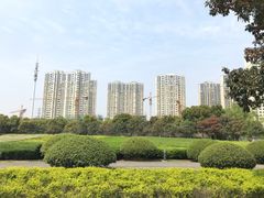 -白塘生态植物园