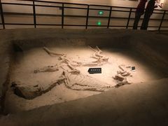 -洛阳周王城天子驾六博物馆