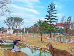 -盈香心动乐园