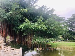 -松山湖南湖湾露营营地