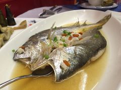 香糟黄花鱼-银都上海菜馆(粤海东路店)