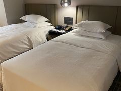 -成都天府丽都喜来登饭店