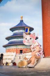 -DeerFriend童趣主题上门拍·到家·外拍摄影机构 (国贸店)