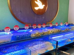 -鸽子侯·家宴·平价海鲜(市图书馆店)