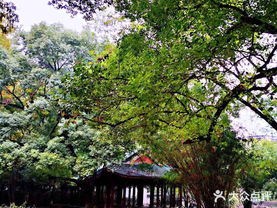 武汉旅行攻略之中山公园