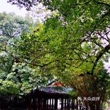 武汉旅行攻略之中山公园
