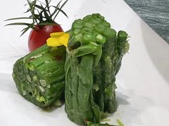 -丁老爷子苏香圆