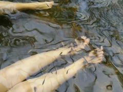 -龙达温泉生态城