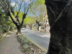 -东部华侨城