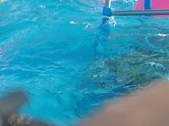 -拾光团建·拓展活动·旅游会议(东直门店)