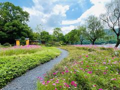 -石燕湖生态旅游景区